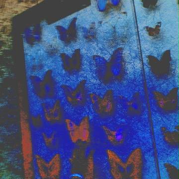 Morpho