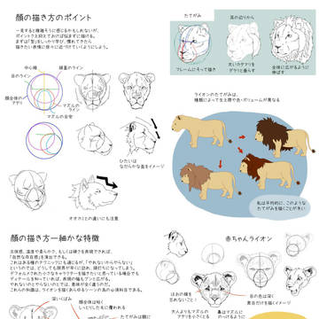 ライオンの描き方