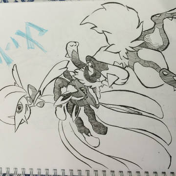 メガシンカ