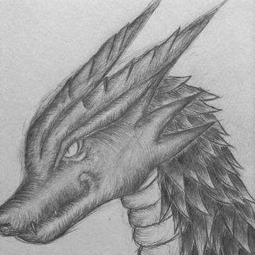 ドラゴン好きがもっと増えればいい‼︎