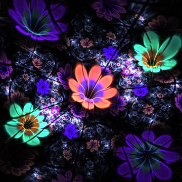 Corolla Chemiluminescence