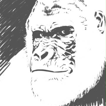GORILLA