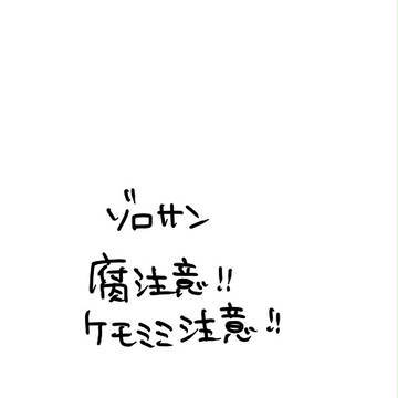 恋の季節※ケモミミ注意