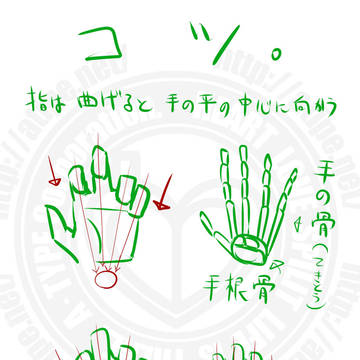 お絵かき講座　手の描き方、追加資料「拳と指と」