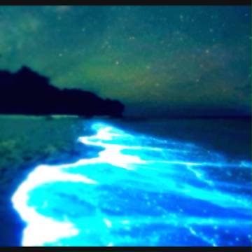 輝海