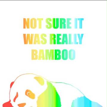 Not sure it was really bamboo