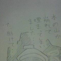 ゾディ子の日常