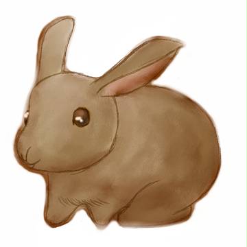 うさぎ