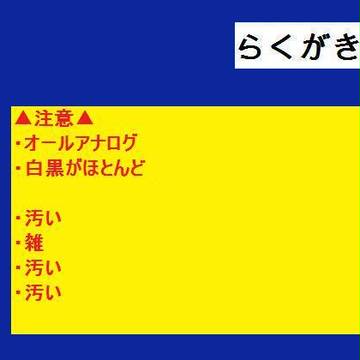なかのひと