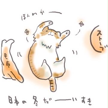 くま子のこと
