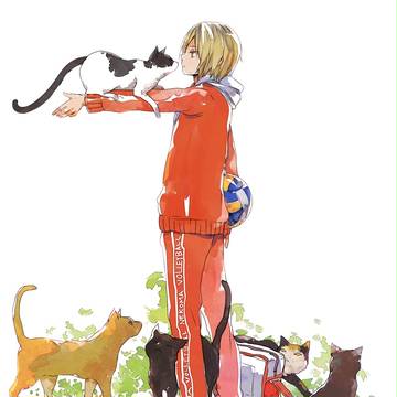 ねこ...磨