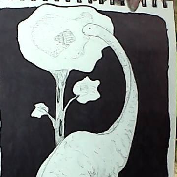 diplodocus