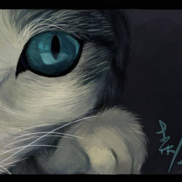 猫1