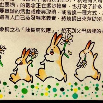 樹菊報告XD