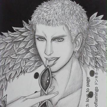 To Donquixote Doflamingo