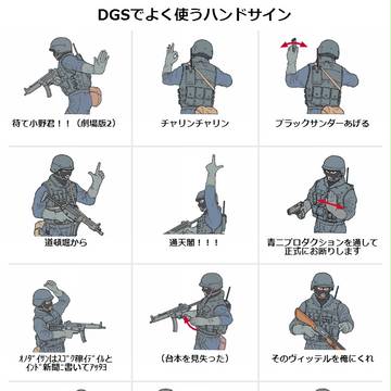 DGSでよく使う（？）ハンドサイン