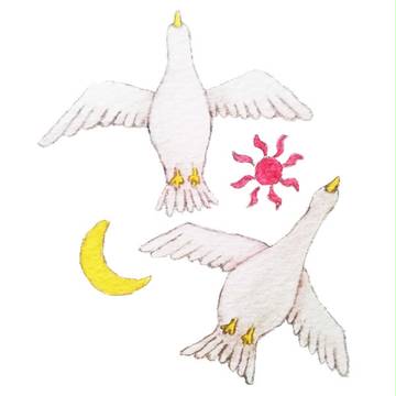 the sun & the moon