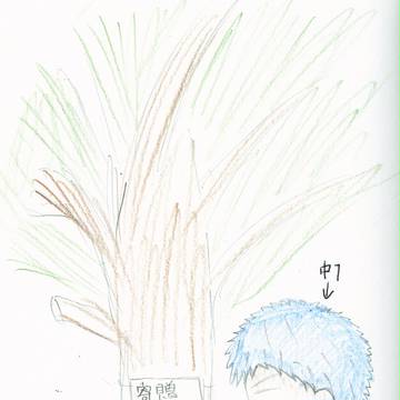 挿絵
