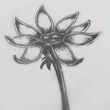 유리꽃