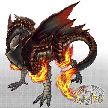 フレイムドラゴヌさん
