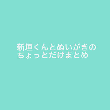 新垣くんとぬいがきのちょっとだけまとめ