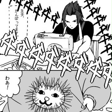 ねこです