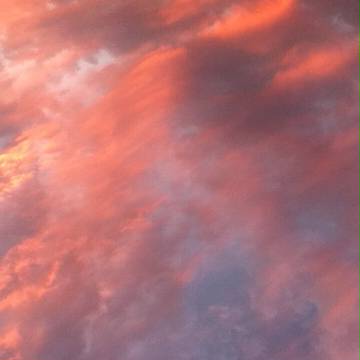 緋の雲海