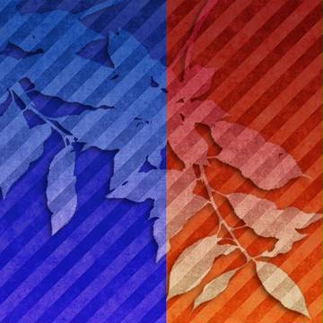 逆転の絆本文中図解