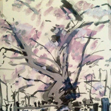 桜〜