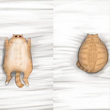 Creepy Cat 15 - Pillow