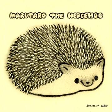 MARUTARO THE HEDGEHOG