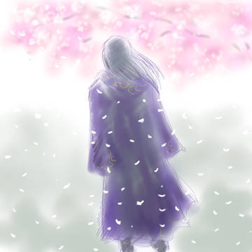 頂きもの（桜を眺めるローブの兄ちゃん）