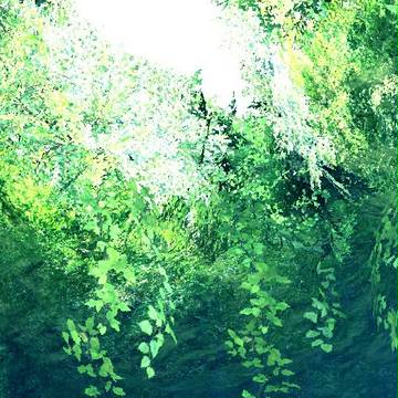 绿水之森