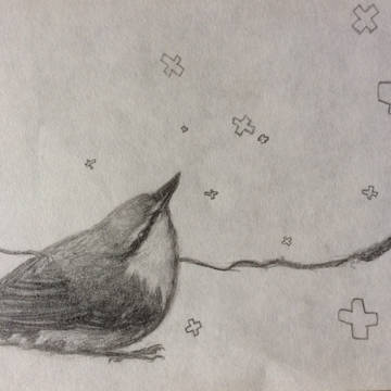 とりときどきたまねぎ