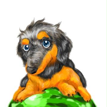 愛犬