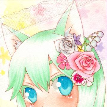 花猫