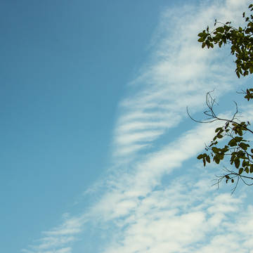 空