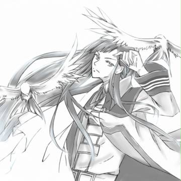 【菊花】　加賀