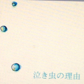 泣き虫の理由