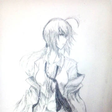 hins 1