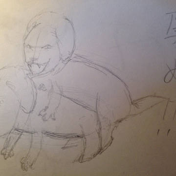 犬の交尾