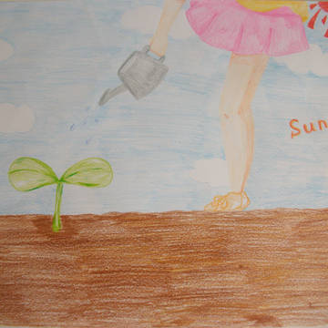 sunny