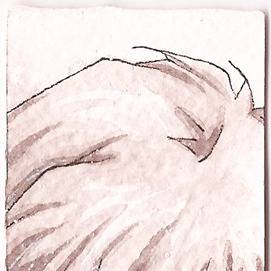 Kaworu