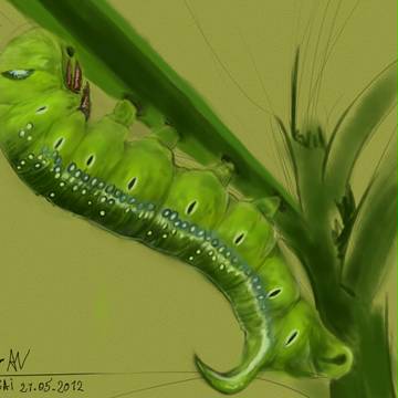 Paint Tool Sai Exe 007 by CyART