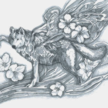 norosi