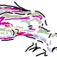 7時に起こしてください