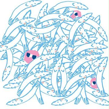 しらすべねでぃくと