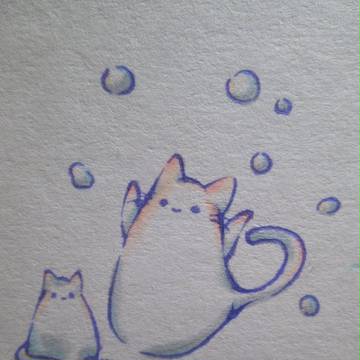 雪中的貓咪