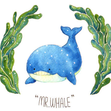 Mr.Whale
