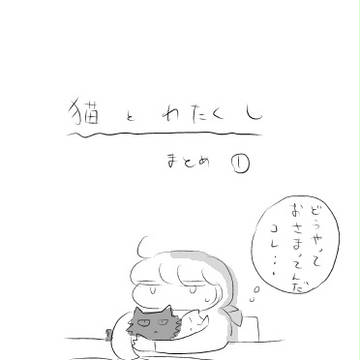 猫とわたくし・まとめ